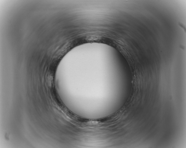 X0000103310227200808291159