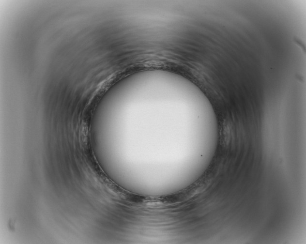 X0000103310228200808291159