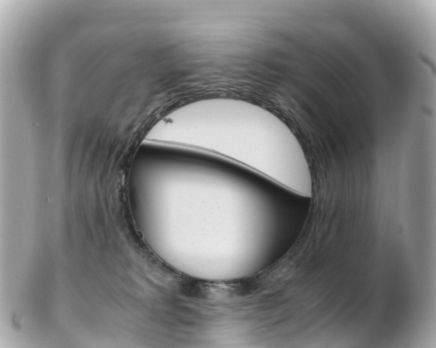 X0000103310229200808291159