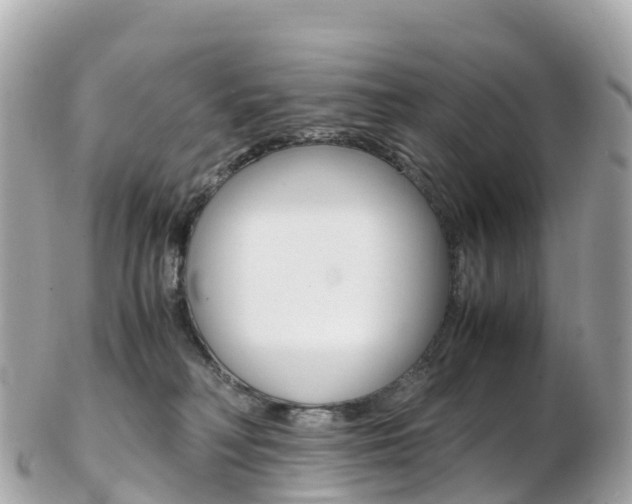 X0000103310230200808291159