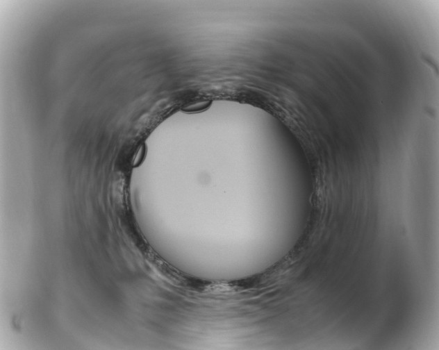 X0000103310231200808291159