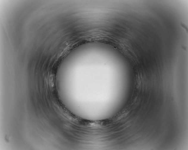 X0000103310232200808291159