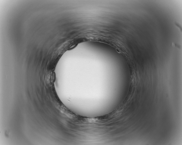 X0000103310233200808291159
