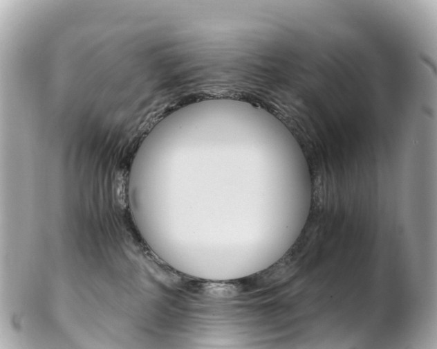 X0000103310234200808291159