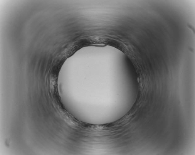 X0000103310235200808291159