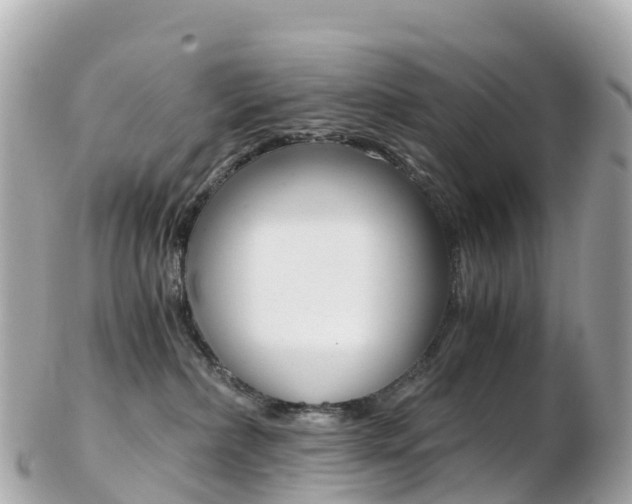 X0000103310236200808291159