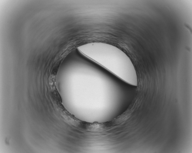 X0000103310237200808291159