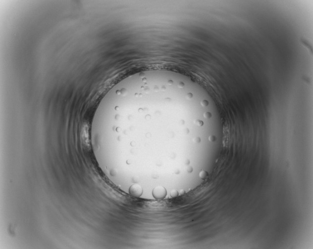 X0000103310238200808291159