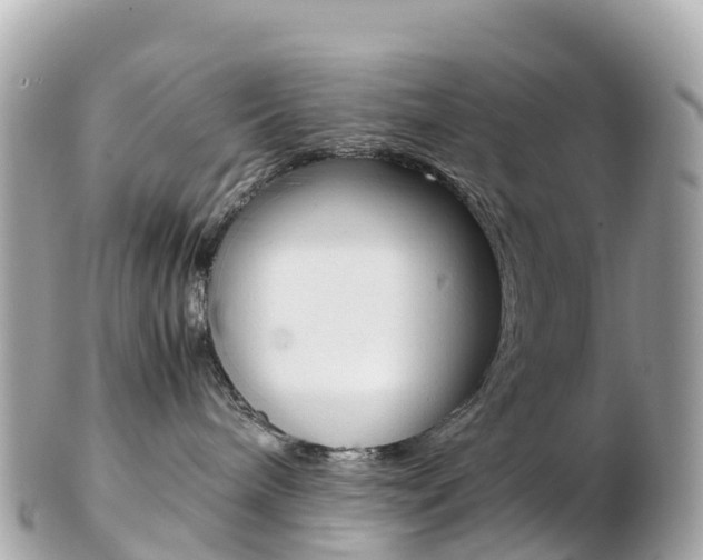 X0000103310240200808291159