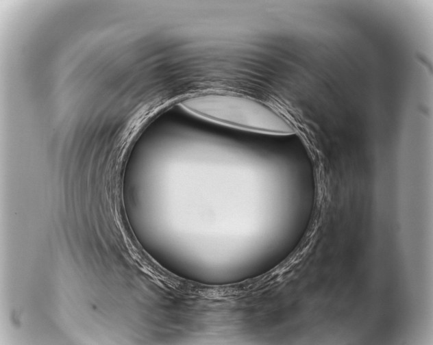 X0000103310241200808291158