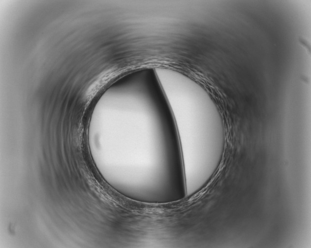 X0000103310242200808291158