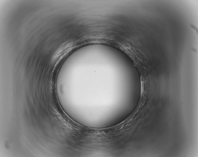 X0000103310243200808291158