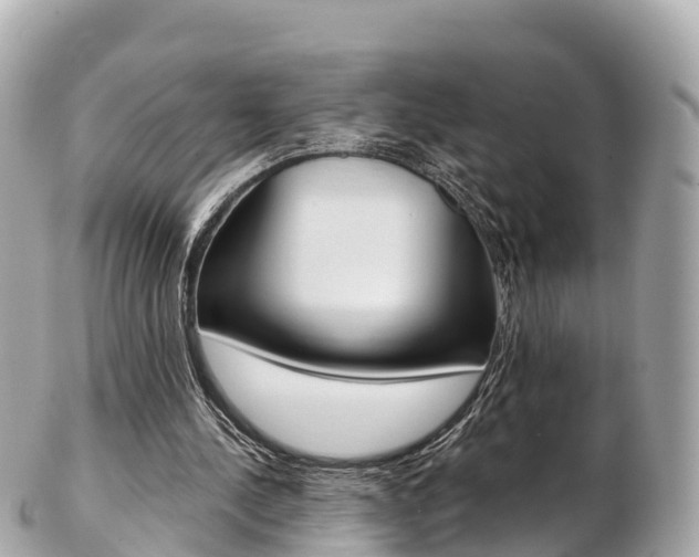 X0000103310244200808291158