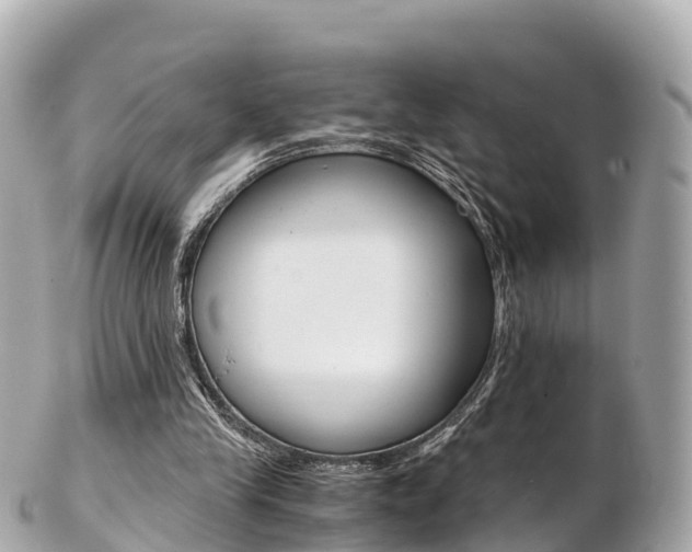 X0000103310245200808291158