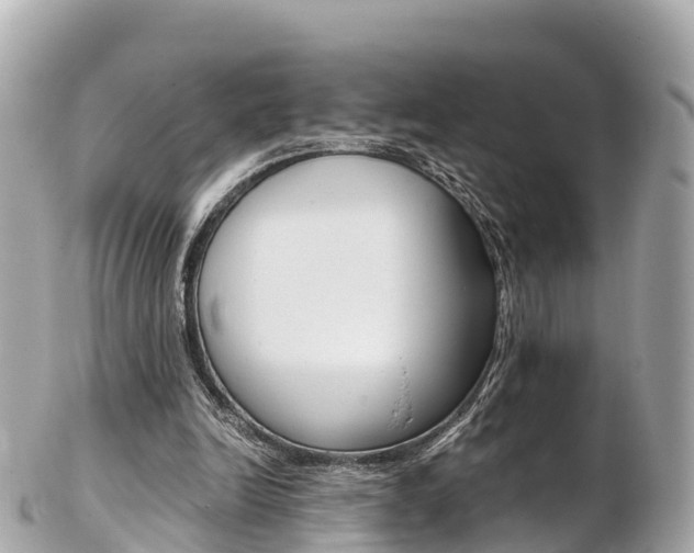 X0000103310246200808291158