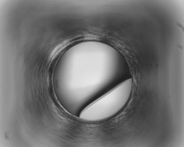 X0000103310247200808291158