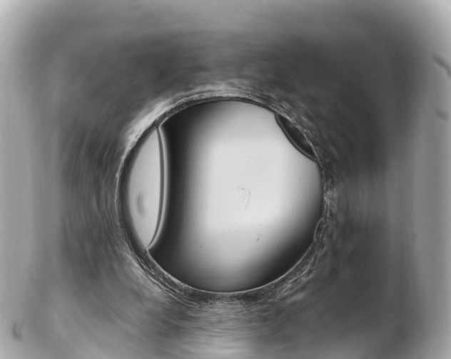 X0000103310248200808291158