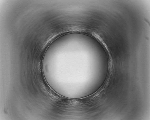 X0000103310249200808291158