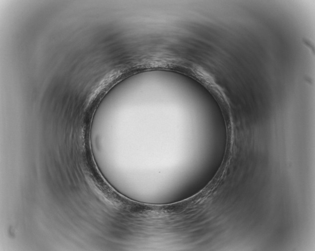 X0000103310250200808291158