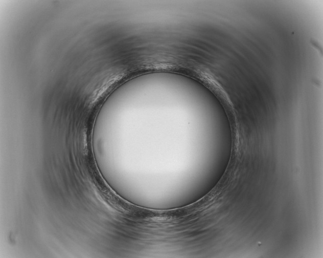 X0000103310251200808291158