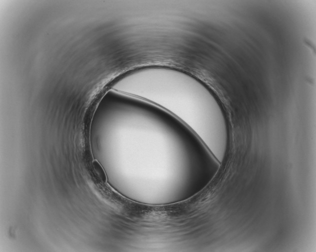 X0000103310252200808291158