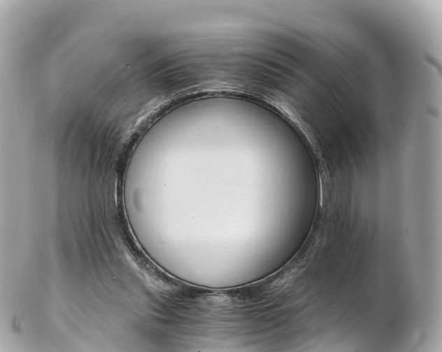 X0000103310253200808291159