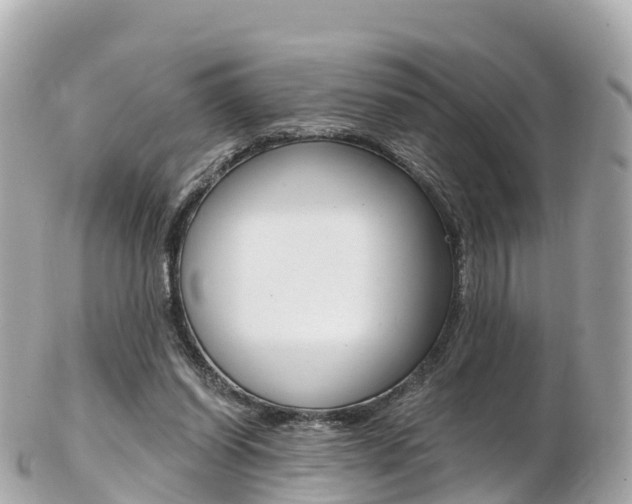 X0000103310254200808291159