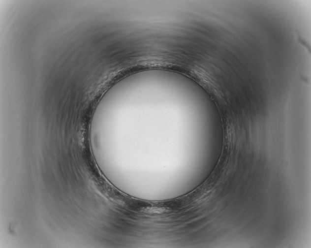 X0000103310255200808291159
