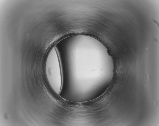X0000103310256200808291159