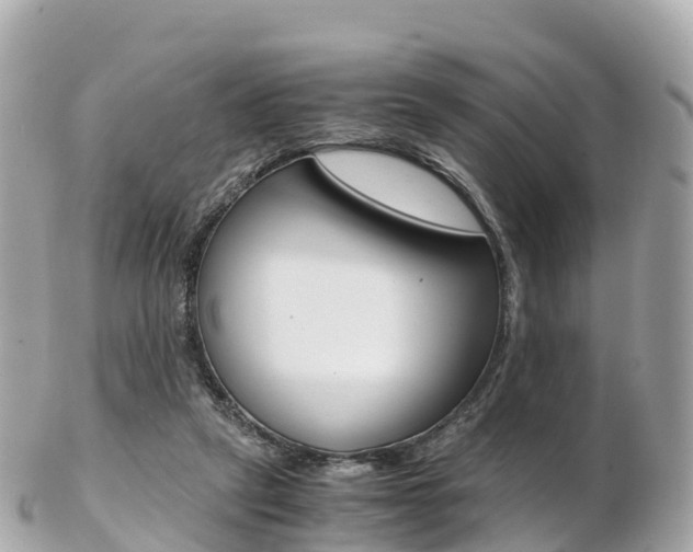 X0000103310257200808291159