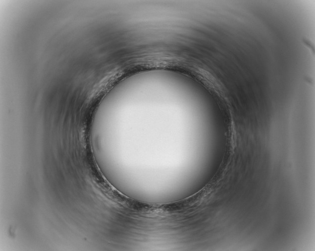 X0000103310258200808291159