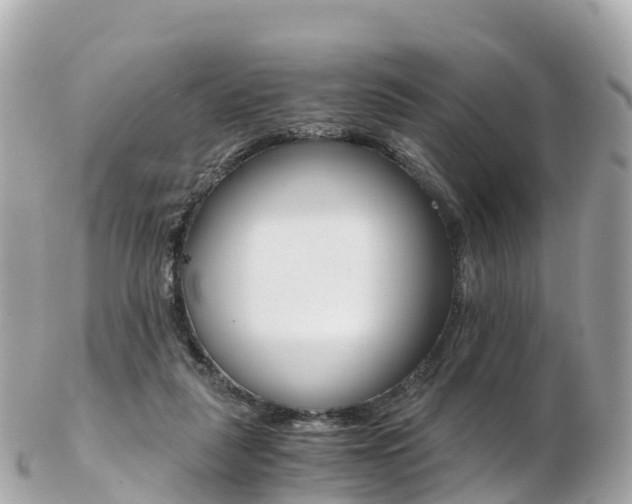 X0000103310259200808291159