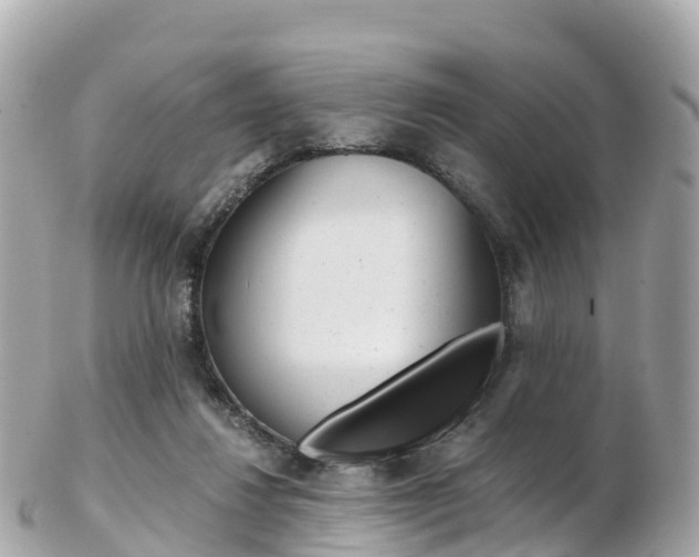 X0000103310260200808291159