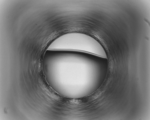 X0000103310261200808291159