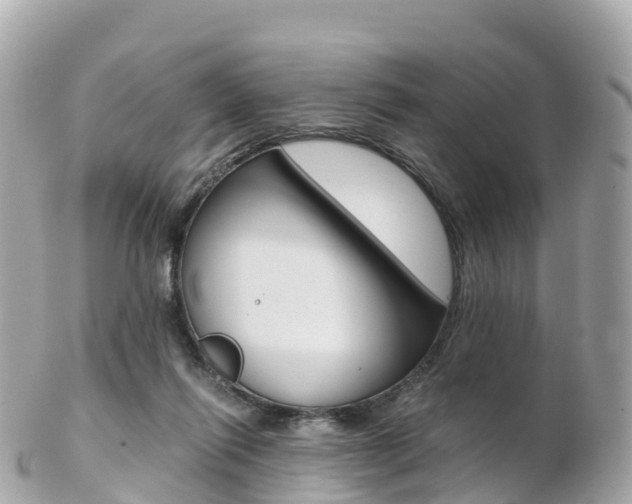 X0000103310262200808291159
