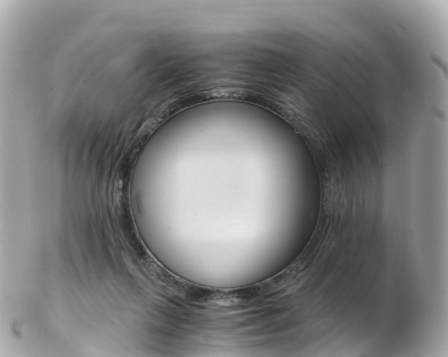X0000103310263200808291159