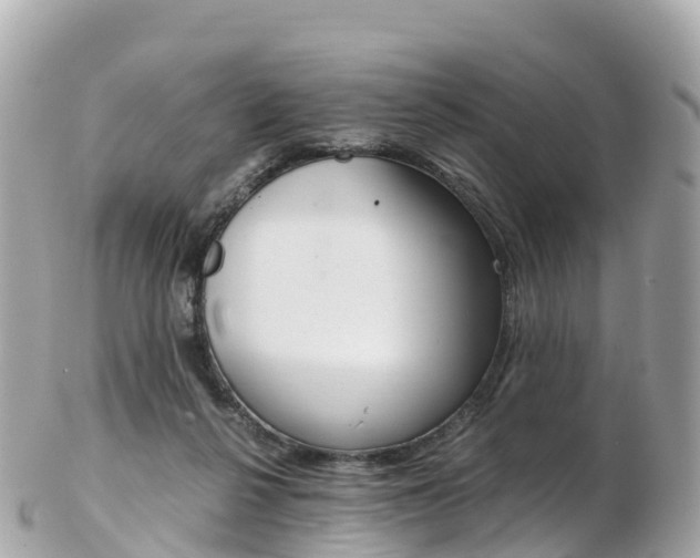 X0000103310264200808291159