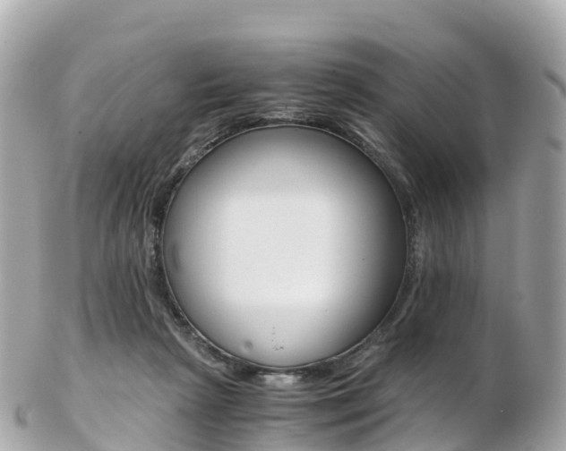 X0000103310265200808291159
