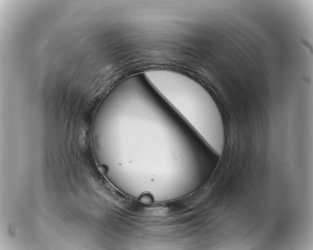 X0000103310266200808291159