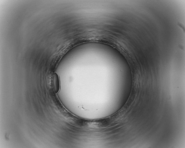 X0000103310268200808291159