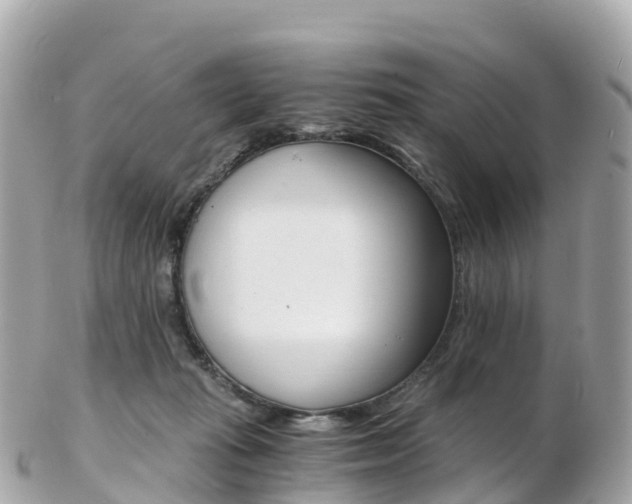X0000103310269200808291159