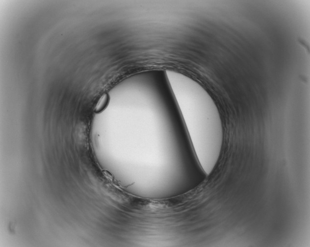X0000103310270200808291159