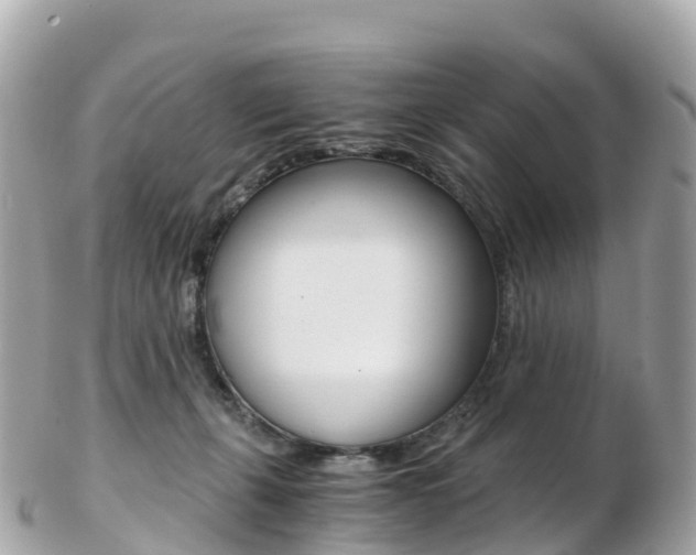 X0000103310271200808291159