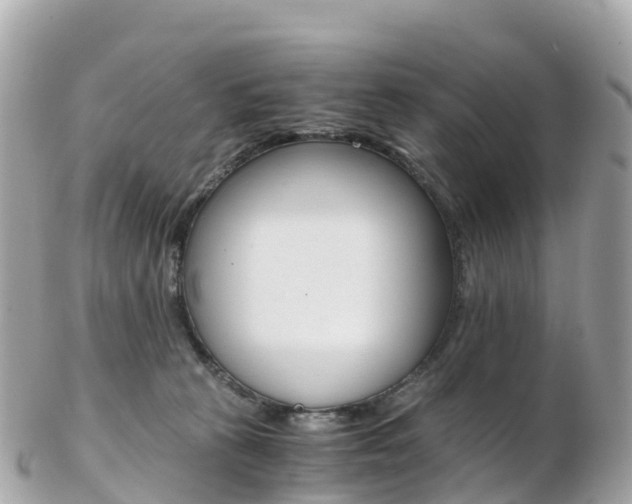 X0000103310273200808291159