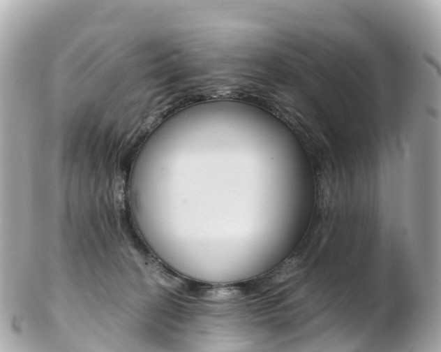 X0000103310274200808291159