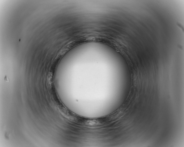X0000103310275200808291159