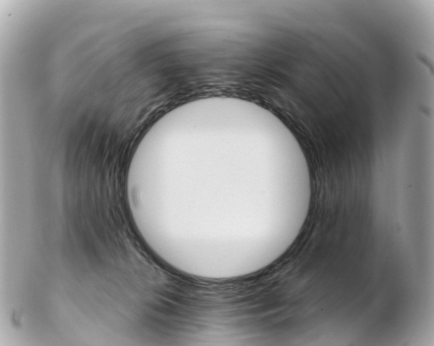 X0000103310276200808291159