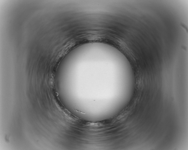 X0000103310277200808291159