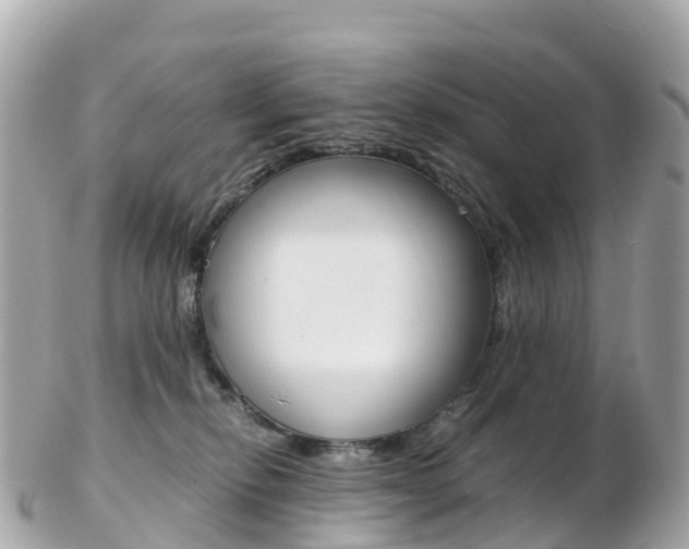 X0000103310278200808291159