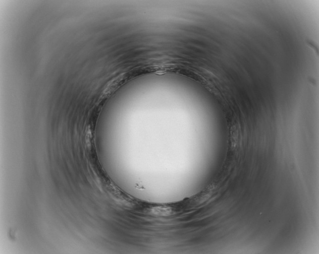 X0000103310279200808291159